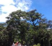 Parque España Park, Costa Rica CITY TOURS IN MERCEDES W123 300D LIMOUSINE