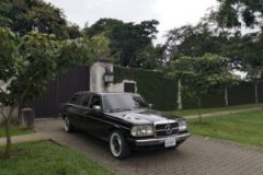 COSTA RICA PRIVATE ESTATE. W123 LANG 300D MERCEDES LIMOUSINE TOURS