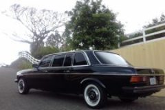 COSTA-RICA-PRIVATE-ESTATE-LIMOUSINE-SERVIVCE