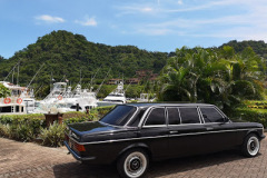 LOS SUENOS MARINA AND RESORT WITH A MERCEDES 300D LIMOUSINE