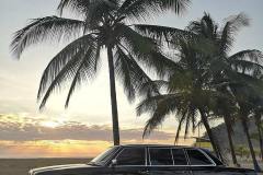 COSTA RICA LIMOUSINE PALM TREE BEACH